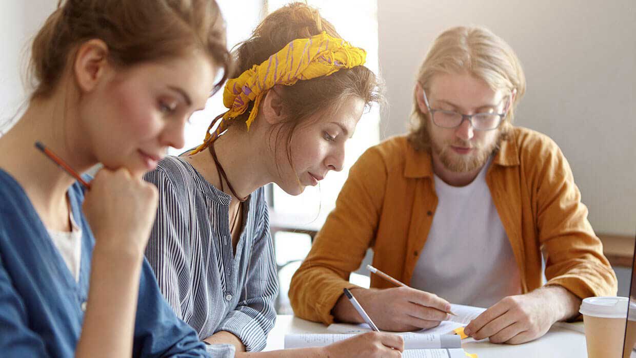 Career Guidance & Mentorship Workshop